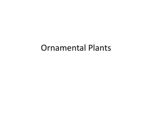 Ornamental Plants - Northern Illinois University