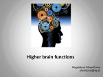 Higher brain functions