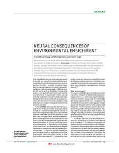 neural consequences of environmental enrichment
