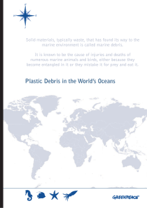 Plastic Debris in the World`s Oceans
