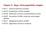 Chapter V. Major Histocompatibility Complex,MHC
