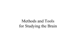 AP Psychology_ Tools of Nervous System