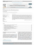 Developmental roles of Rhomboid proteases