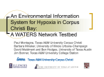 An Environmental Information System for Hypoxia in Corpus Christi