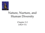 Nature, Nurture, and Human Diversity Chapter 3-2 (obj 6-11)