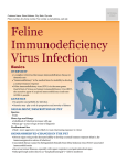 Feline Immunodeficiency Virus Infection