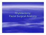 Rhytidectomy: Facial Surgical Anatomy
