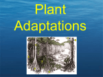 Common Plant Parts