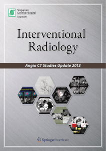 Interventional Radiology 2013 - Angio CT Studies Update (PDF:1.60