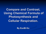 Compare and contrast, using chemical formula, photosynthesis and