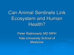 Can Animal Sentinels Link Ecosystem and Human Health?