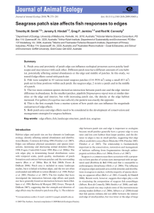 Seagrass patch size affects fish responses to edges