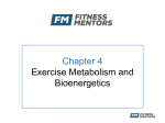 Bioenergetics - Fitness Mentors