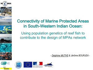 Connectivity of Marine Protected Areas in South