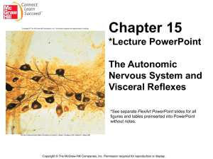 Chapter 15:The Autonomic Nervous System and Visceral Reflexes