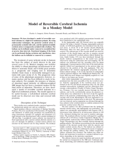 Model of Reversible Cerebral Ischemia