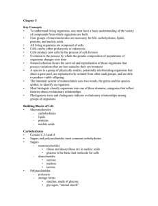 Chapter 5 Key Concepts • To understand living organisms, one must