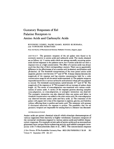 Gustatory Responses of Eel Palatine Receptors to Amino Acids and