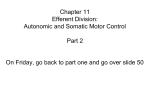 Chapter 11 Efferent Division: Autonomic and Somatic Motor Control