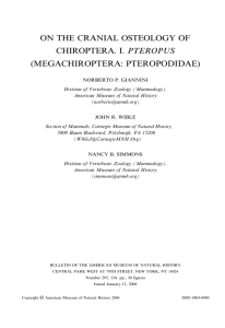 on the cranial osteology of chiroptera. i. pteropus (megachiroptera