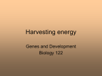 Harvesting energy (Chapter 7)