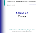 Ch. 2.3: Tissue PPT