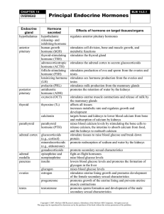 File - Patricia Schwandt Courses