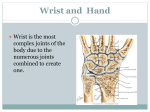 Wrist and Hand