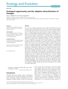 Ecological opportunity and the adaptive