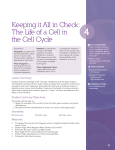 Keeping it All in Check: The Life of a Cell in the Cell Cycle