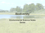 Biodiversity (Week Eight)