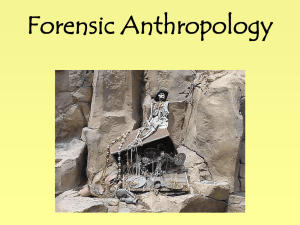 Forensic Anthropology