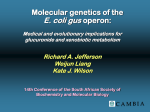 Molecular genetics of the E. coli gus operon