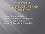 Chapter 7 Section 1 PowerPoint