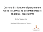 Current distribution of parthenium weed in Kenya and