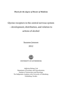 Glycine receptors in the central nervous system