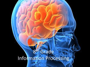8th Grade Information Processing