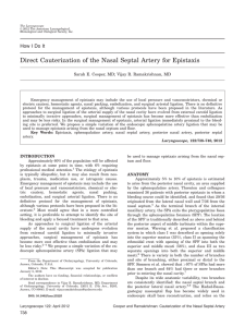 Direct cauterization of the nasal septal artery for epistaxis