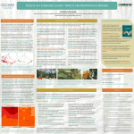 FORESTS IN A CHANGING CLIMATE: IMPACTS AND