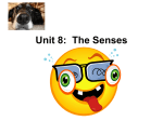 Unit 8: The Senses