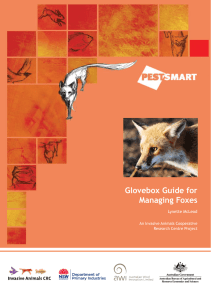 Glovebox Guide for Managing Foxes