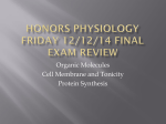 Honors Physiology Finals Review Powerpoint for Friday