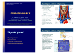 Benacka - Endocrinology 2