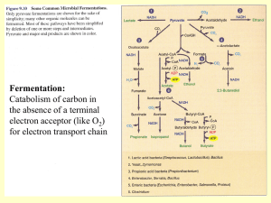 Energy Metabolism V Autotrophy and Lithotrophy