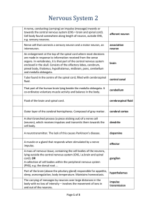 Nervous System 2 A nerve, conducting (carrying) an impulse