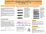 sample-student-2-Pos.. - NuWrite