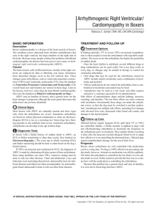 Arrhythmogenic Right Ventricular/ Cardiomyopathy in Boxers