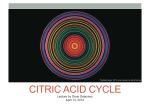 CITRIC ACID CYCLE
