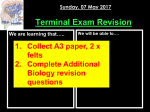 Terminal Exam Revision - St Micks Science
