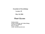Plant Glycans